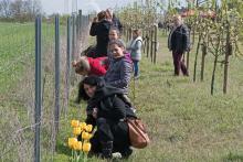 Miniaturansicht